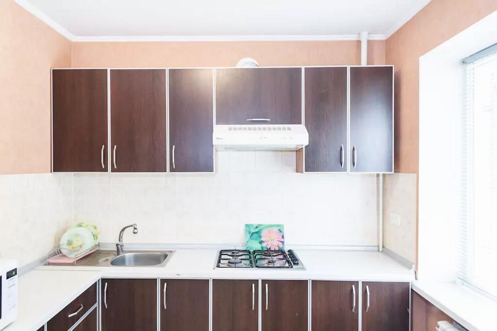 Apartment In Zaporozhye. Antica Zaporizhia 外观 照片